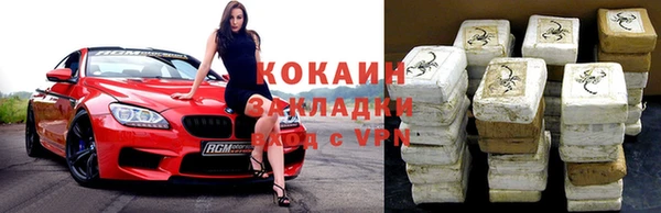 гашик Коряжма