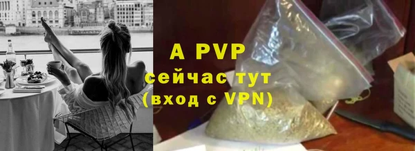 ПСИЛОЦИБИНОВЫЕ ГРИБЫ Кодинск