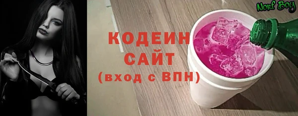 амф Корсаков