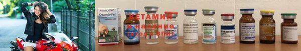 гашик Краснослободск