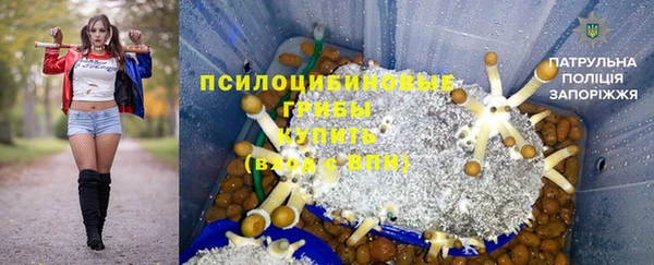гашик Коряжма