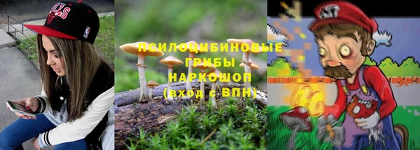 гашик Коряжма