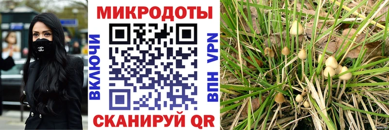 OMG сайт  Козельск  Псилоцибиновые грибы ЛСД  где можно купить  