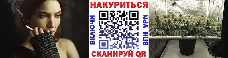 Бошки Шишки Amnesia  купить закладку  Козельск 
